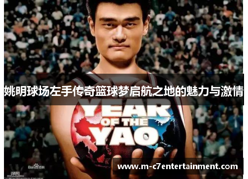 姚明球场左手传奇篮球梦启航之地的魅力与激情