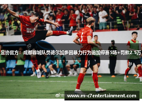 足协官方：成都蓉城队员德尔加多因暴力行为追加停赛5场+罚款2.5万